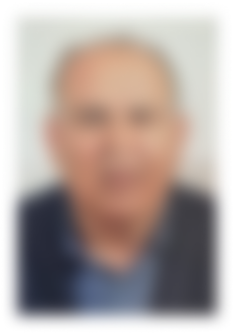 אל"מ (מיל') חליפה חסון